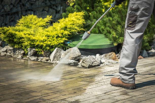 Best Animal Enclosure Cleaning  in Tiffin, OH